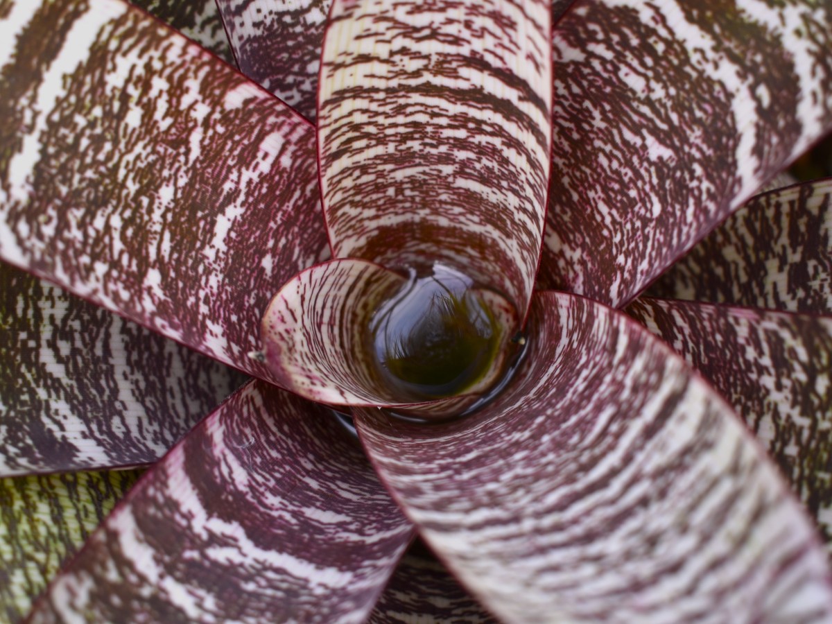 Complémentaire ma chère !